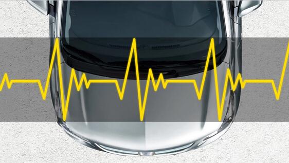 Voertuigstatus en informatie Voertuigstatus en informatie